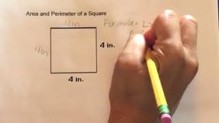 How to find the Area and Perimeter of a Square [upl. by Araiek]