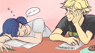 Im In Love  Miraculous Ladybug Comics Dub Compilation [upl. by Ahtekal]