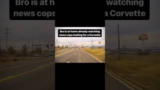 Corvette loses cops in 15 seconds🤯youtubeshorts policechase corvette [upl. by Thomson]