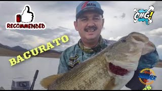 BACURATO SINALOA  CAPITULO 233 [upl. by Khosrow]