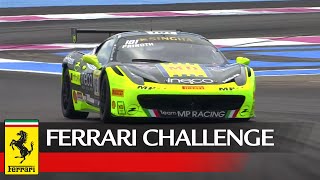 Ferrari Challenge Europe Coppa Shell  Le Castellet 2015 Race 2 [upl. by Cailean]