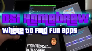 How to get homebrew apps on DSDSLITEDSIDSIXL3DS3DSXL4DSPROMAX Twlightmenu for NDS [upl. by Yluj831]