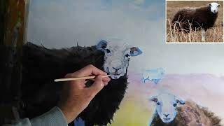 Herdwick sheep painting  part 6 [upl. by Wetzel]