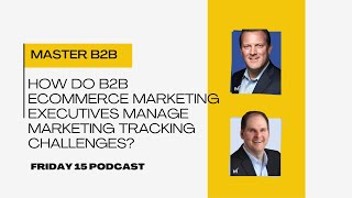 How do B2B eCommerce marketing executives manage marketing tracking challenges [upl. by York]