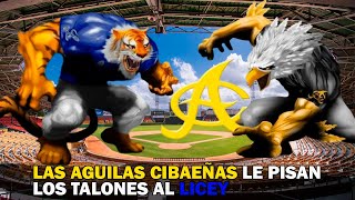 Las Aguilas Cibaeñas se Posicionan y le Pisan los Talones al Licey [upl. by Amisoc]