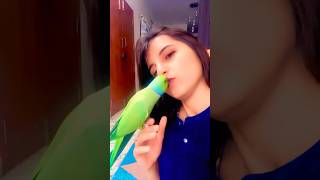 Me amp my talkative parrot Zoomi viralvideo [upl. by Hayyikaz]