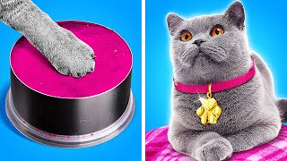 Makeover of Homeless Cat 🐱Gadgets and Hacks for Pets [upl. by Lipkin724]