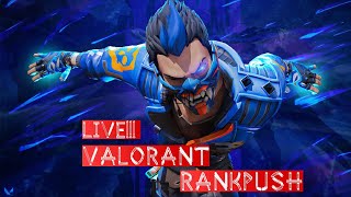 quotLIVE Chasing Victory in Valorant Champions 2024 Strategies amp Skinsquot [upl. by Ueihttam]