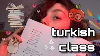 asmr night school  turkish class  colors and weather  Teaching You Turkish Teacher Roleplay [upl. by Shanon543]