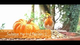 Schöne Herbstferien [upl. by Percival]