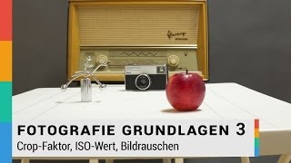 CropFaktor ISO Wert Bildrauschen einfach erklärt  Fotografie Grundlagen 3  HD [upl. by Amick]