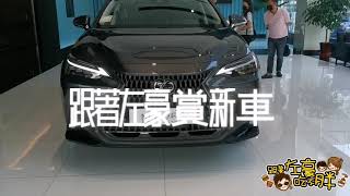 LEXUS NX大改款 新車價格配備 亮相實拍NX200售價166萬起5種動力10種規格選擇全車系價格大公開！ [upl. by Birgitta]