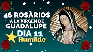 DIA 11⭐ Estrella Humilde 🌹46 Rosarios a la Virgen de Guadalupe Misterios Luminosos [upl. by Lehmann986]