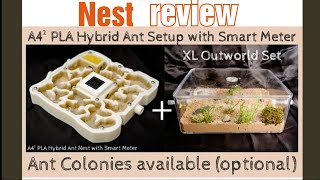 Best Ants UK A4 Hybrid Nest Setup Review  channel Announcement [upl. by Noevad]