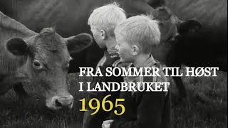 Fra sommer til høst i landbruket  1965 [upl. by Eenyaj784]