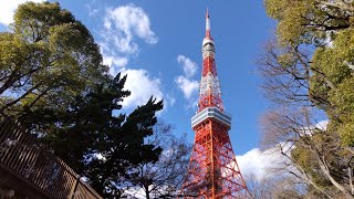 【English】Tokyo Tower An Iconic treasure of Japan [upl. by Namijneb]