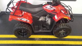 2015 Arctic Cat 300 [upl. by Malda]