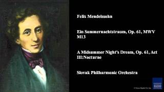 Felix Mendelssohn Ein Sommernachtstraum Op 61 MWV M13 [upl. by Prissy]