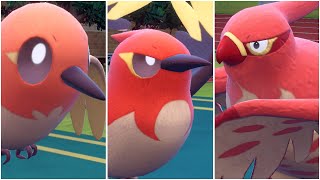 FULL FLETCHLING EVOLUTION TEAM Shiny Fletchling Fletchinder Talonflame Moveset Scarlet Violet [upl. by Marcel310]