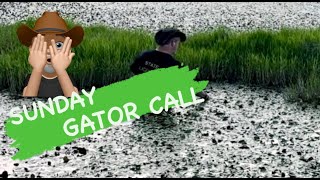 SUNDAY GATOR CALL getswamped shareyourpassion gators [upl. by Namsaj]