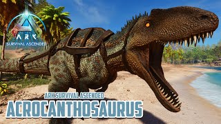 ACROCANTHOSAURUS SI KANG INJEK  Ark Survival Ascended Dino MOD [upl. by Nettle]