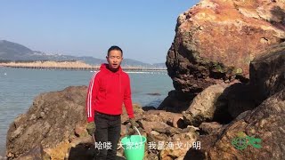 渔戈兄弟赶海，去寻找一种长在礁石上，长相酷似“火山口”的海鲜 [upl. by Datnow946]