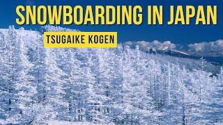 Snowboarding at Tsugaike Kogen In Japans Hakuba Valley [upl. by Barta]