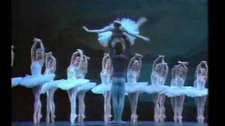 Swan Lake pas de deux  Het Zwanenmeer Coleen Davis Zoltán Solymosi [upl. by Odragde]