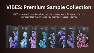 Cymatics  VIBES Premium Sample Collection  Download Now [upl. by Ambrosine]