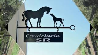 coudelaria SR [upl. by Cheyney466]