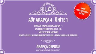 AÖF Arapça 4  Unite 1 Arapçada Sayılar Güncel Müfredat [upl. by Okramed]