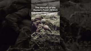 The Eastern Front of WWII 1943 [upl. by Oludoet]