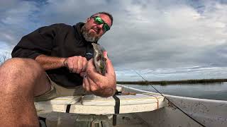 Creek Fishing Flounder And Red Fish  Red Drum [upl. by Aehcim]