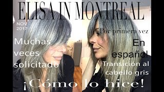 Canas Cómo pasé del pelo teñido a mi color natural  Elisa in Montreal [upl. by Nalyk]