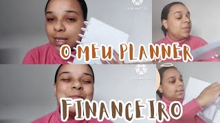 PLANNER FINANCEIRO PARA JUNTAR DINHEIRO [upl. by Ttsepmet965]