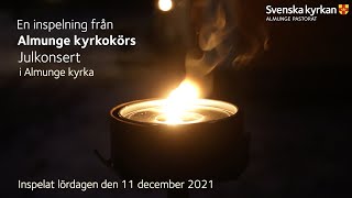 Julkonsert med Almunge kyrkokör  Almunge kyrka  Julen 2021 [upl. by Wylma]