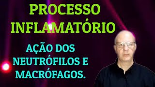 Processo inflamatório Ação dos neutrófilos e macrófagos [upl. by Ardnassela664]