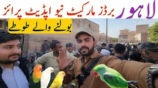 Lahore Sunday birds Market New update price  lahorientertainmentchannel [upl. by Flora406]