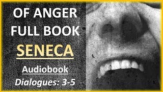 SENECA Of Anger Books 13  Audiobook amp Notes [upl. by Boote46]