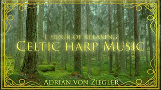 1 Hour of Relaxing Celtic Harp Music by Adrian von Ziegler [upl. by Lanaj158]