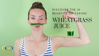 Discover the 10 Benefits of Taking Wheatgrass Juice [upl. by Polad]