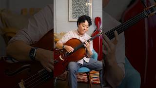 Pizzicato harmonics on cello [upl. by Parsaye212]