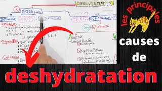 déshydratation intracellulaire et extracellulaire les causes [upl. by Maurer]