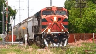 Ferromex Ferrocarriles Mexicanos en Guadalajara Jalisco 2014  México [upl. by Holtz]