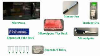 Tools Use for Gel Electrophoresis [upl. by Milan]