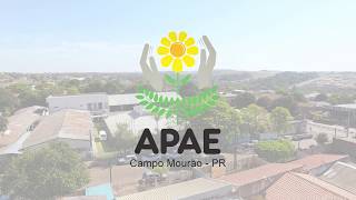 APAE  Campo Mourão [upl. by Neffirg407]