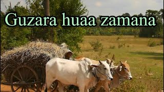 Guzara huaa zamana  karaoke Singing [upl. by Dlaner]