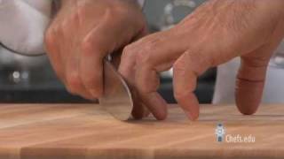 How to Hold a Knife  Properly Using a Chefs Knife [upl. by Nivrek]