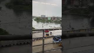 Adyar river…chennai tamilnadu india youtubeshorts instagram nature river chennaitourism [upl. by Oakman]