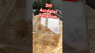 Acrylglasterrarien DIYProjektterraristik terrarium acrylglas skorpione vogelspinnen diy [upl. by Miah]